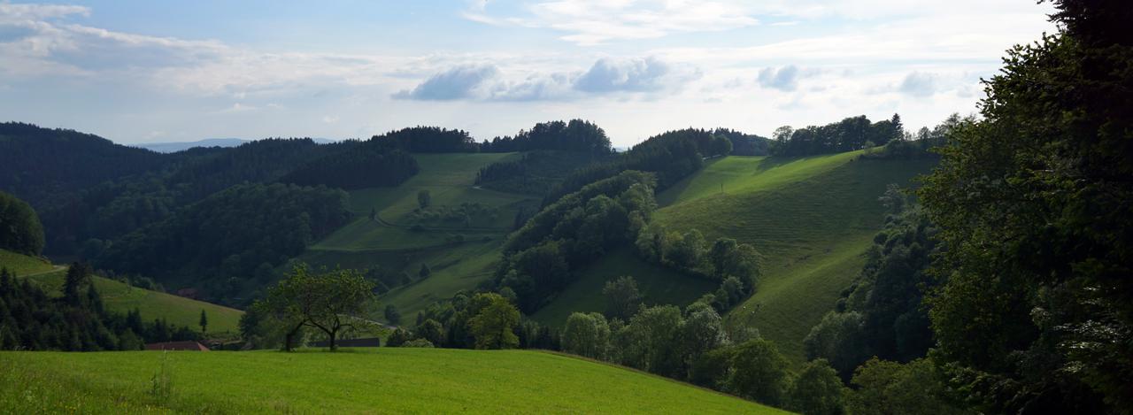 Hotel Fuxxbau Fischerbach ภายนอก รูปภาพ